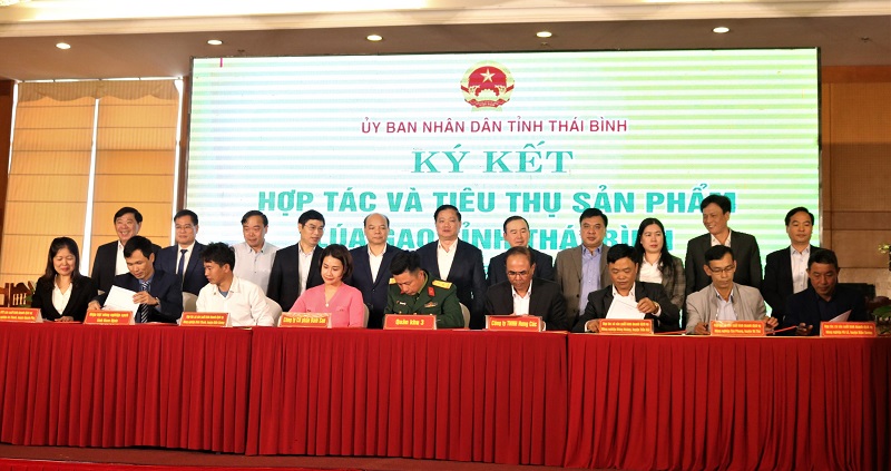 Thái Bình đẩy mạnh xúc tiến thương mại tiêu thụ sản phẩm lúa gạo