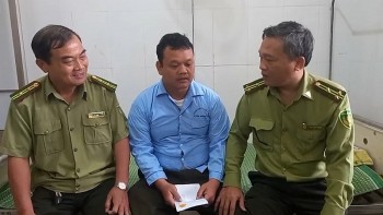 Quảng Ngãi: Đã xác định được đối tượng đánh kiểm lâm nhập viện