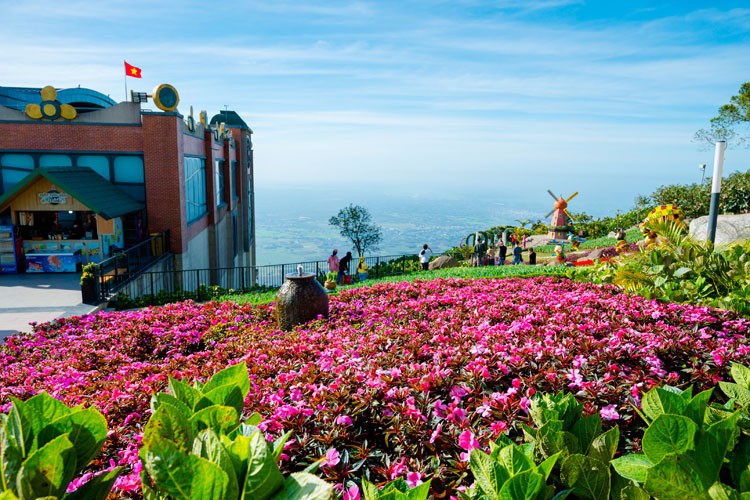 Vượt qua nhiều điểm đến tâm linh, Núi Bà Đen được tìm kiếm hàng triệu lượt trên google mỗi tháng Vượt qua nhiều điểm đến tâm linh, Núi Bà Đen được tìm kiếm hàng triệu lượt trên google mỗi tháng