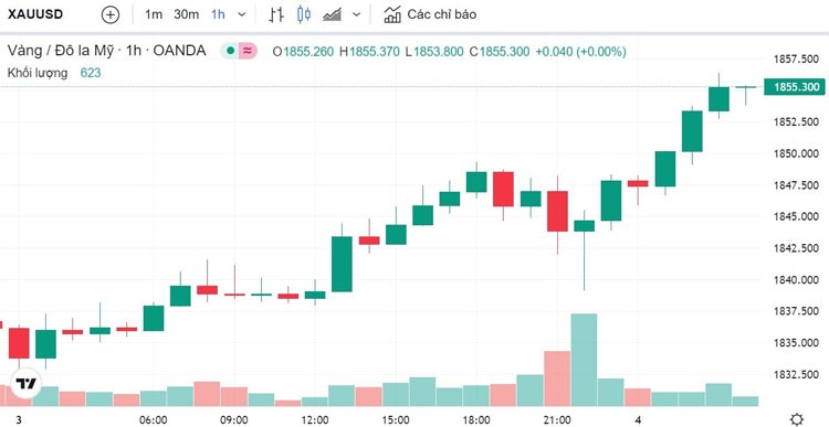 Giá vàng hôm nay 4/3: Thế giới tăng mạnh, vàng SJC giảm còn 66,80 triệu đồng Giá vàng hôm nay 4/3: Thế giới tăng mạnh, vàng SJC giảm còn 66,80 triệu đồng