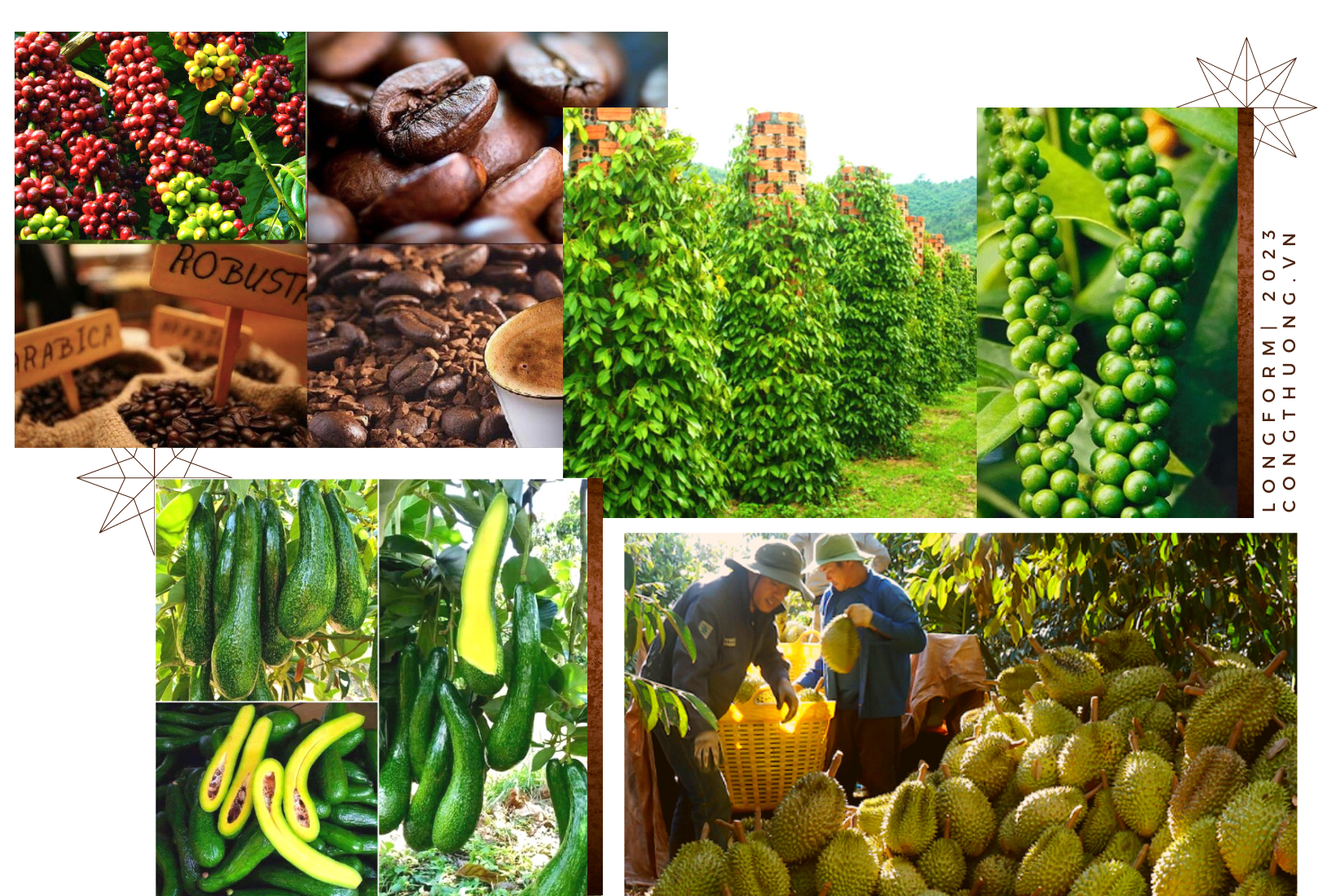 Longform | Đắk Nông: Đánh thức tương lai xanh trên vùng đất đỏ Longform | Đắk Nông: Đánh thức tương lai xanh trên vùng đất đỏ