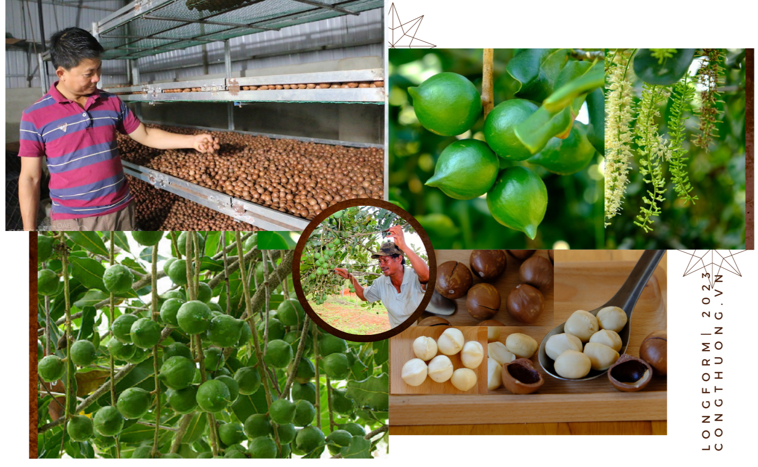 Longform | Đắk Nông: Đánh thức tương lai xanh trên vùng đất đỏ Longform | Đắk Nông: Đánh thức tương lai xanh trên vùng đất đỏ