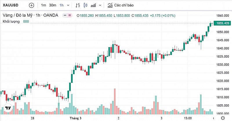 Biểu đồ biến động giá vàng trong 24 giờ qua