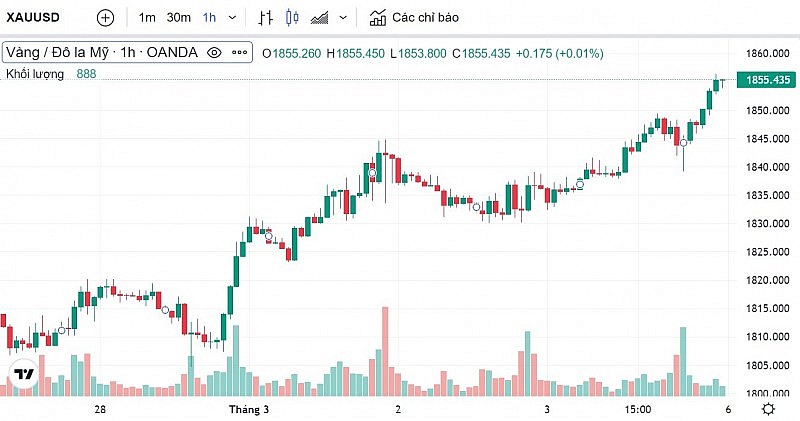 Biểu đồ biến động giá vàng trong tuần qua Biểu đồ biến động giá vàng trong tuần qua