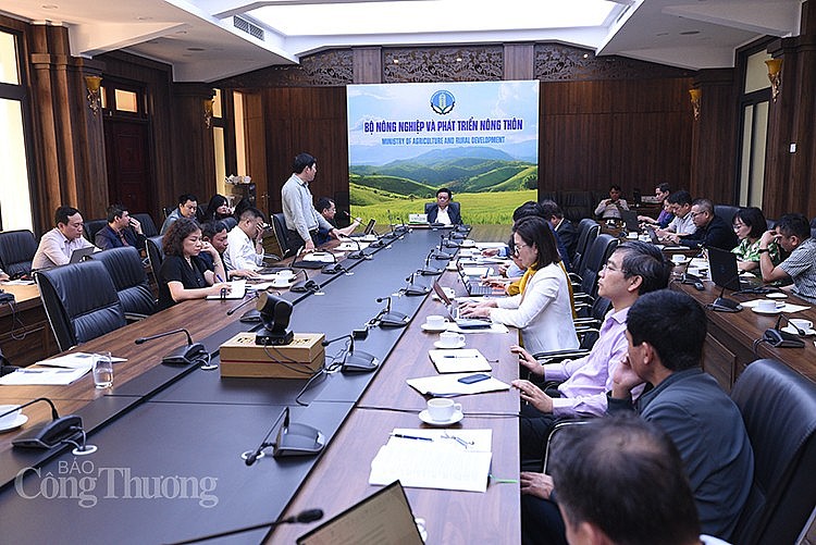 toàn cảnh cuộc họp toàn cảnh cuộc họp