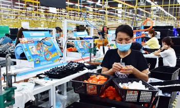 Thừa Thiên Huế: Kim ngạch xuất khẩu 2 tháng đầu năm tăng trưởng 2 con số