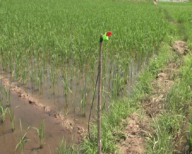 Thanh Hóa: Công an điều tra án mạng của 2 nam thanh niên tử vong bên bờ ao Thanh Hóa: Công an điều tra án mạng của 2 nam thanh niên tử vong bên bờ ao