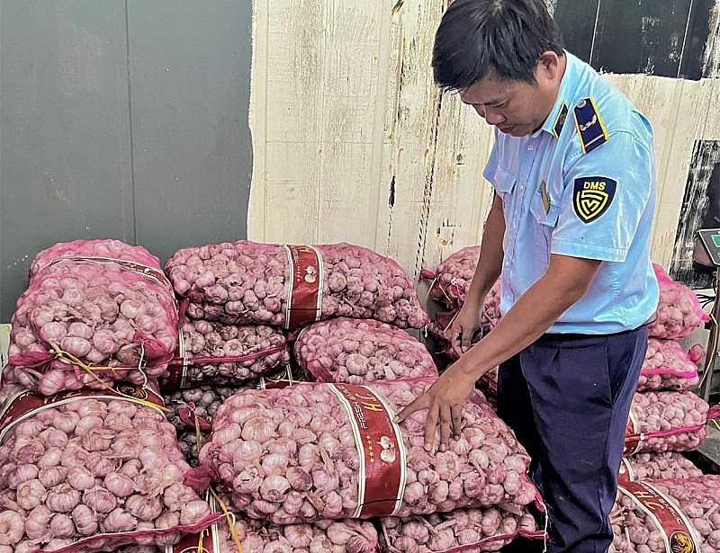 Lực lượng QLTT tỉnh Hậu Giang phát hiện, tạm giữ hơn 1,2 tấn tỏi không rõ nguồn gốc, xuất xứ. Lực lượng QLTT tỉnh Hậu Giang phát hiện, tạm giữ hơn 1,2 tấn tỏi không rõ nguồn gốc, xuất xứ.