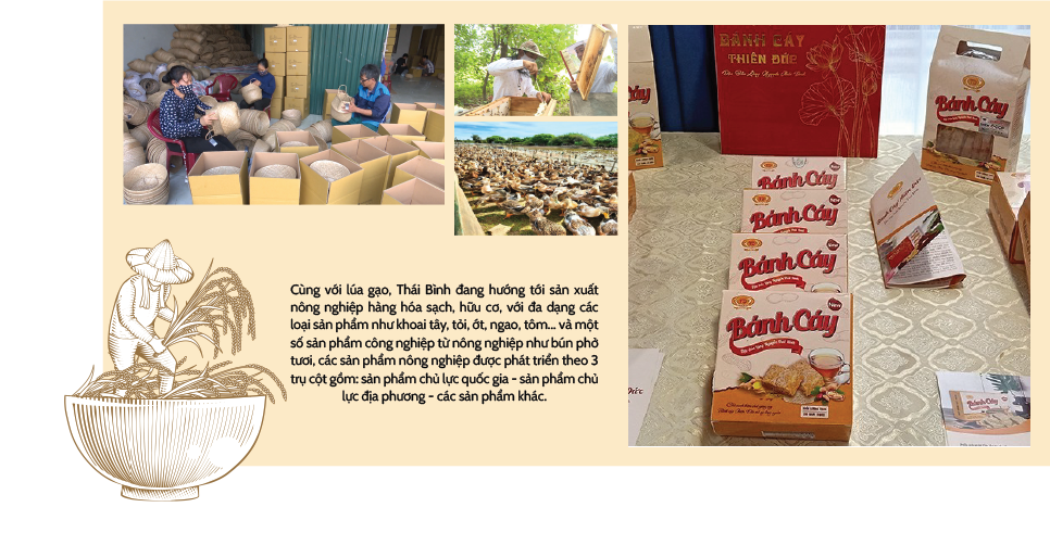 Longform | Đa dạng giải pháp xúc tiến thương mại cho nông sản Thái Bình Longform | Đa dạng giải pháp xúc tiến thương mại cho nông sản Thái Bình