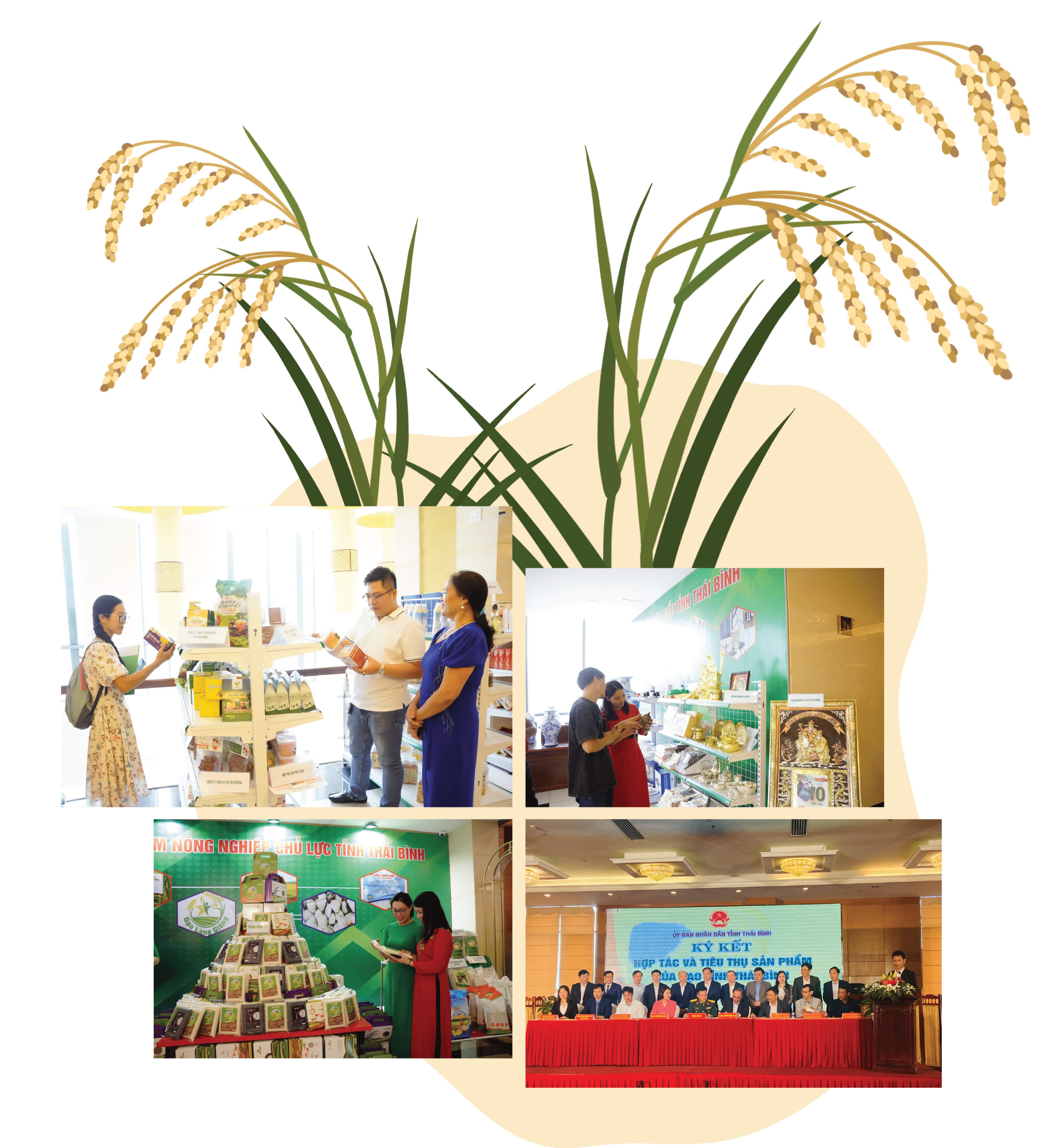 Longform | Đa dạng giải pháp xúc tiến thương mại cho nông sản Thái Bình Longform | Đa dạng giải pháp xúc tiến thương mại cho nông sản Thái Bình