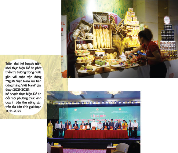 Longform | Đa dạng giải pháp xúc tiến thương mại cho nông sản Thái Bình Longform | Đa dạng giải pháp xúc tiến thương mại cho nông sản Thái Bình