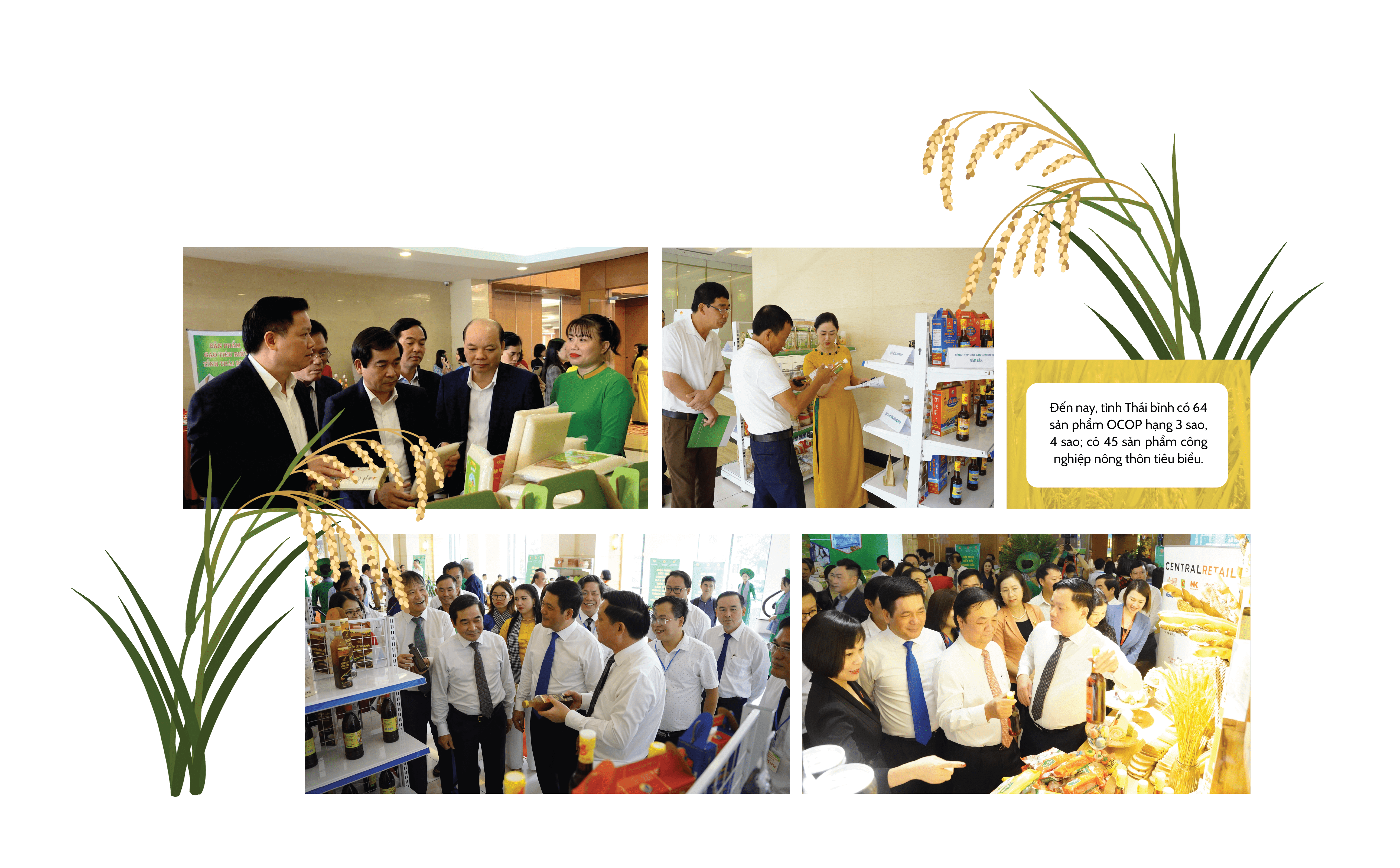 Longform | Đa dạng giải pháp xúc tiến thương mại cho nông sản Thái Bình Longform | Đa dạng giải pháp xúc tiến thương mại cho nông sản Thái Bình