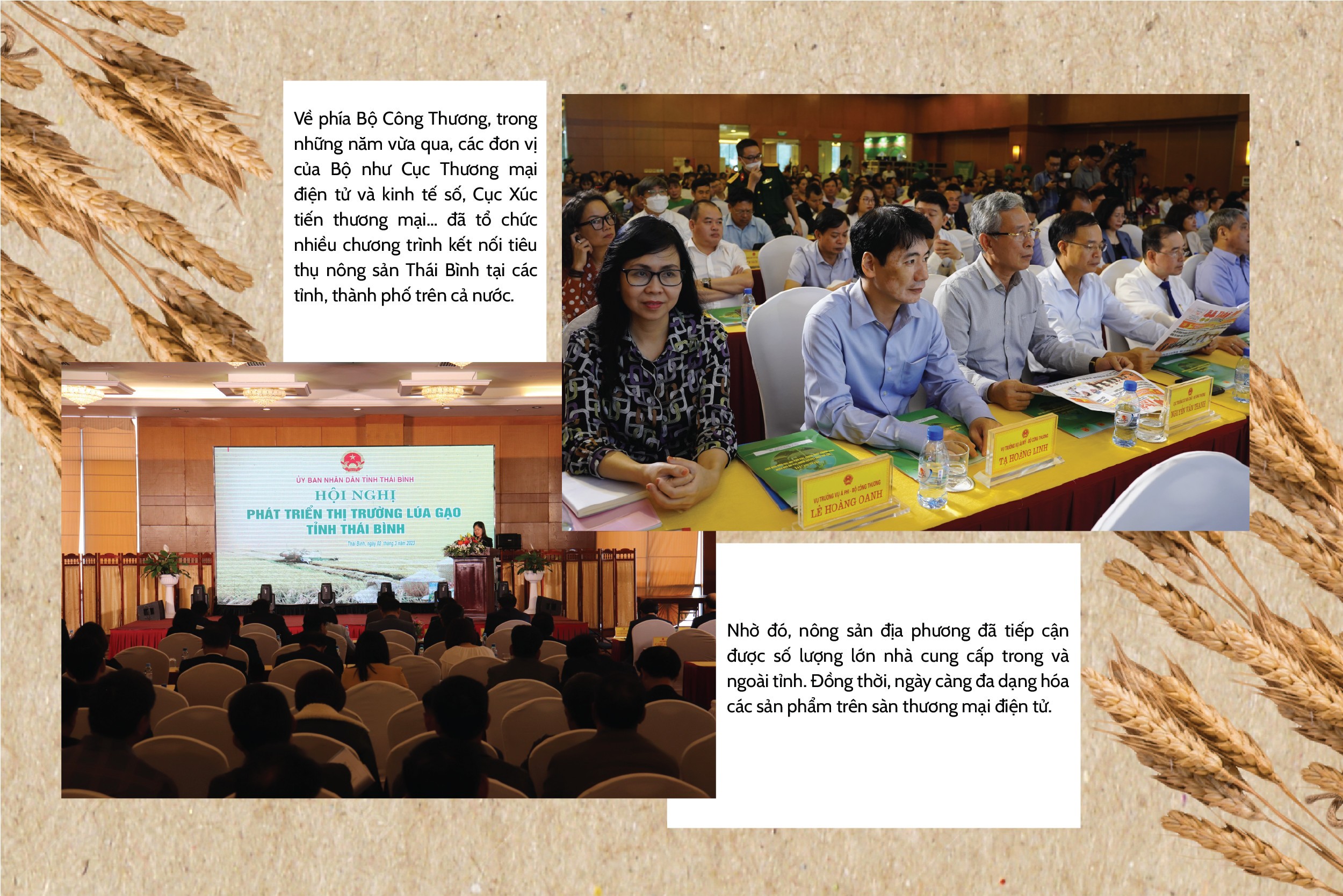 Longform | Đa dạng giải pháp xúc tiến thương mại cho nông sản Thái Bình Longform | Đa dạng giải pháp xúc tiến thương mại cho nông sản Thái Bình