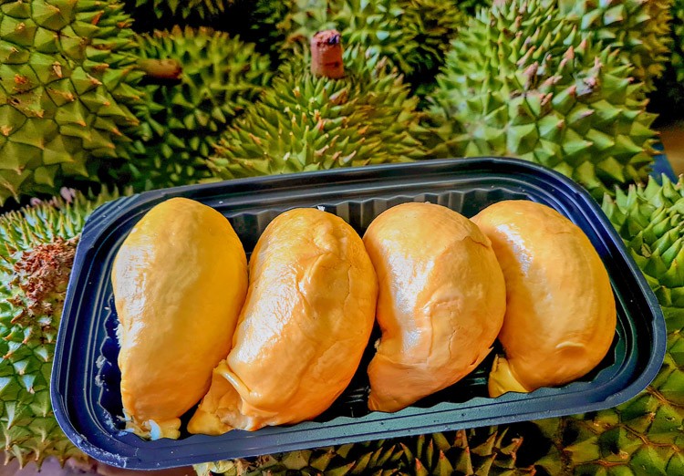 Giá sầu riêng về mốc 50.000 - 55.000 đồng/kg Giá sầu riêng về mốc 50.000 - 55.000 đồng/kg