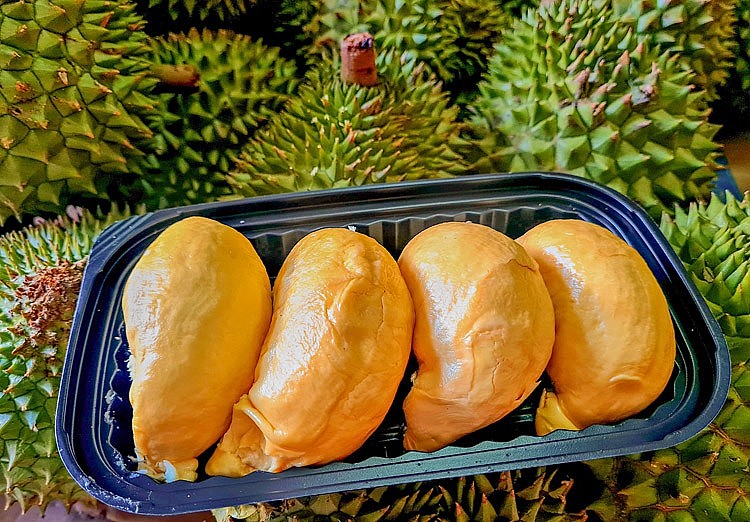 Sầu riêng Ri 6 ở Đồng bằng sông Cửu Long đang hút hàng, được giá Sầu riêng Ri 6 ở Đồng bằng sông Cửu Long đang hút hàng, được giá