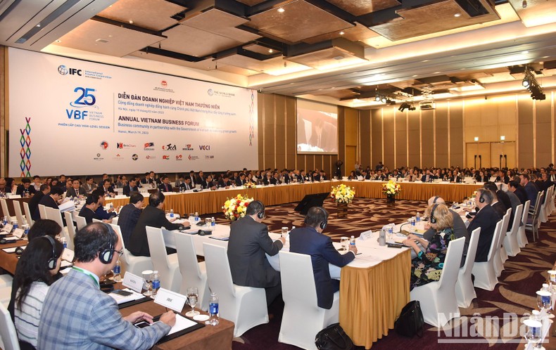 Đồng hành cùng Chính phủ Việt Nam thúc đẩy tăng trưởng xanh ảnh 5