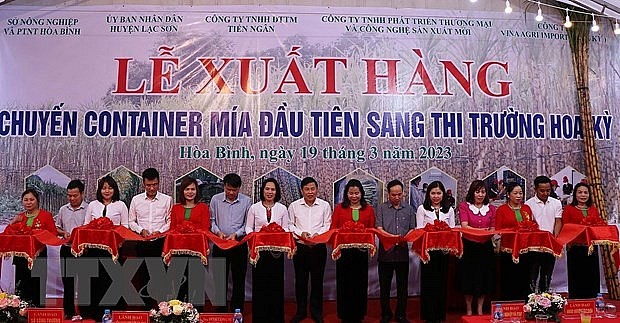 Đoàn đại biểu các đơn vị cắt băng xuất khẩu lô hàng mía tươi đầu tiên sang thị trường Hoa Kỳ. Đoàn đại biểu các đơn vị cắt băng xuất khẩu lô hàng mía tươi đầu tiên sang thị trường Hoa Kỳ.