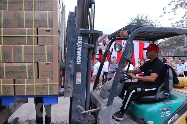 Hòa Bình xuất khẩu lô hàng mía tươi đầu tiên sang Hoa Kỳ hình ảnh 3 Hoa Binh xuat khau lo hang mia tuoi dau tien sang Hoa Ky hinh anh 3