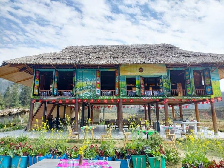 Trồng cải kale thu tiền triệu mỗi ngày Trồng cải kale thu tiền triệu mỗi ngày