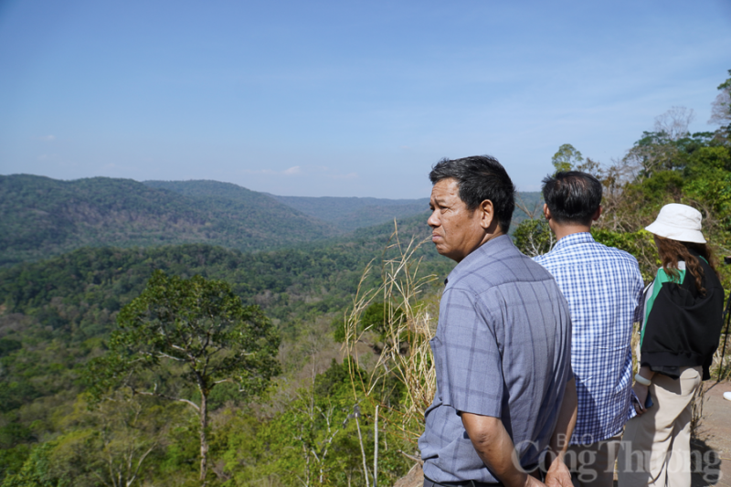 Đắk Nông: Phát triển rừng gắn với tạo sinh kế cho đồng bào Đắk Nông: Phát triển rừng gắn với tạo sinh kế cho đồng bào