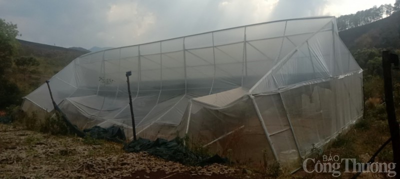 Kon Tum: Nhiều địa phương xảy ra mưa đá liên tiếp Kon Tum: Nhiều địa phương xảy ra mưa đá liên tiếp