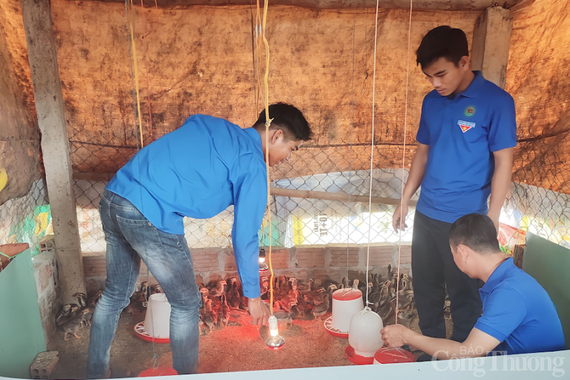 Kon Tum: Những thanh niên dân tộc thiểu số thay đổi nếp nghĩ để làm giàu cho quê hương