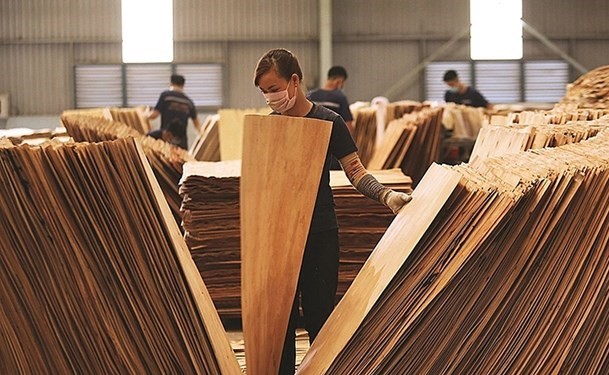 Mỹ gia hạn điều tra lẩn tránh phòng vệ thương mại với gỗ dán Việt Nam. Ảnh minh họa