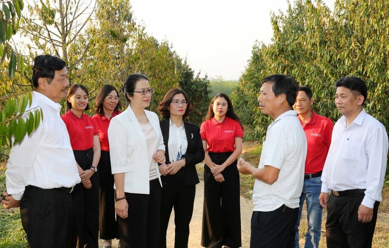 “Đàn kiến” cần mẫn mang đồng vốn đến người dân vùng “phên dậu”