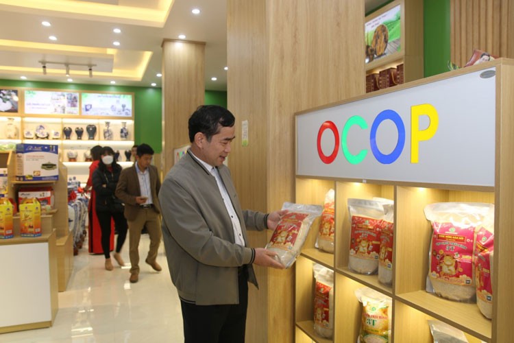 Thái Bình: Liên kết để tạo đột phá về thương mại, dịch vụ