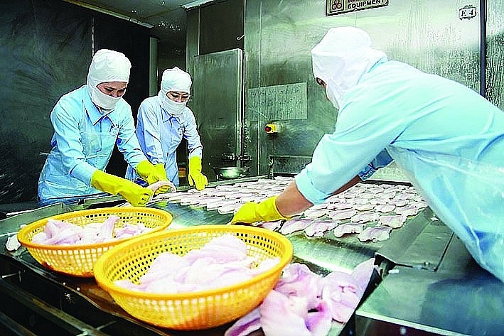 Chế biến thủy sản xuất khẩu tại Công ty Fimex Việt Nam. Chế biến thủy sản xuất khẩu tại Công ty Fimex Việt Nam.