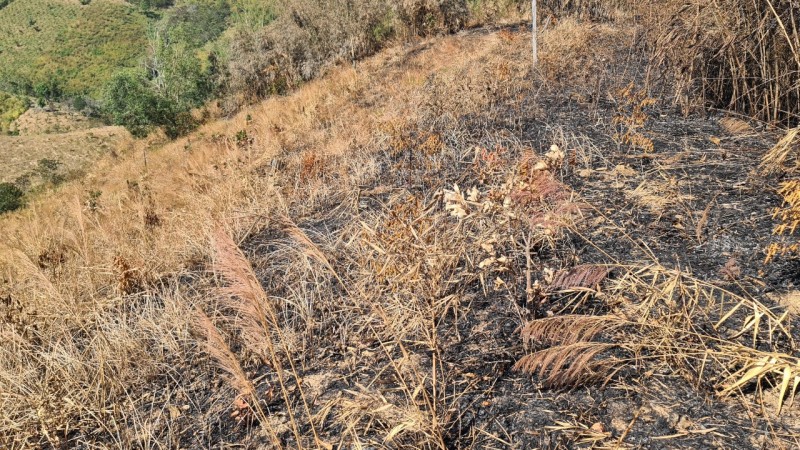 Đắk Nông: Xử phạt đối tượng đốt rừng phòng hộ để lấn chiếm đất Đắk Nông: Xử phạt đối tượng đốt rừng phòng hộ để lấn chiếm đất