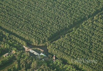 Vườn quốc gia U Minh Hạ “gồng mình” chống nắng hạn