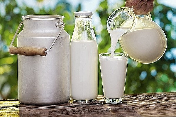 Xuất khẩu sữa trong 3 tháng đầu năm tăng 22,2% so với cùng kỳ 2022 - Ảnh minh họa Xuất khẩu sữa trong 3 tháng đầu năm tăng 22,2% so với cùng kỳ 2022 - Ảnh minh họa