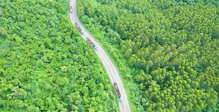 Thilogi mang đến nhiều giải pháp vận tải nội địa tối ưu cho doanh nghiệp Thilogi mang đến nhiều giải pháp vận tải nội địa tối ưu cho doanh nghiệp