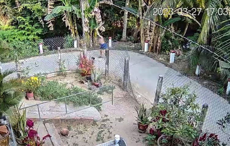 Tiền Giang: Khởi tố, bắt tạm giam đối tượng dùng hung khí đánh chết người phụ nữ hàng xóm Tiền Giang: Khởi tố, bắt tạm giam đối tượng dùng hung khí đánh chết người phụ nữ hàng xóm