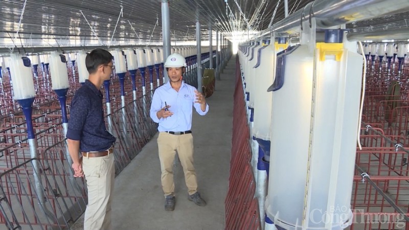 Dự án trang trại chăn nuôi heo của Tập đoàn Trung Tây Nguyên đang triển khai xây dựng tại huyện Kông Chro, tỉnh Gia Lai. Ảnh: Phúc Lâm Dự án trang trại chăn nuôi heo của Tập đoàn Trung Tây Nguyên đang triển khai xây dựng tại huyện Kông Chro, tỉnh Gia Lai. Ảnh: Phúc Lâm