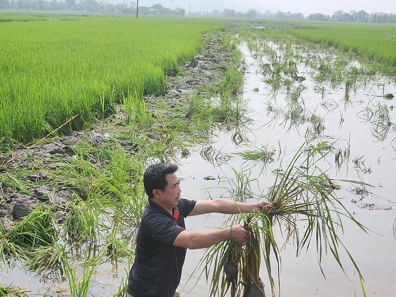 Thanh Hóa: Người dân phản đối việc thu hồi đất nông nghiệp nhưng đền bù không thỏa đáng Thanh Hóa: Người dân phản đối việc thu hồi đất nông nghiệp nhưng đền bù không thỏa đáng