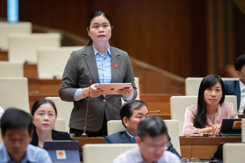 Đại biểu Ma Thị Thúy - Đoàn ĐBQH tỉnh Tuyên Quang Đại biểu Ma Thị Thúy - Đoàn ĐBQH tỉnh Tuyên Quang