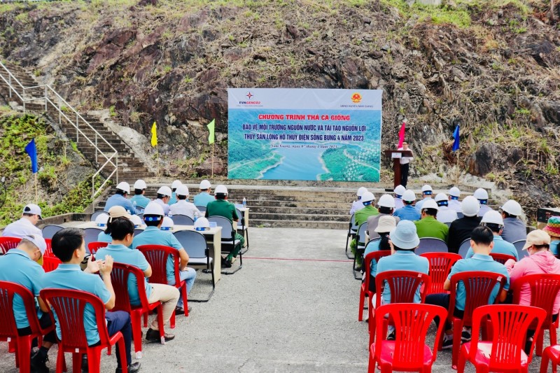 Quang cảnh Chương trình thả cá giống Quang cảnh Chương trình thả cá giống