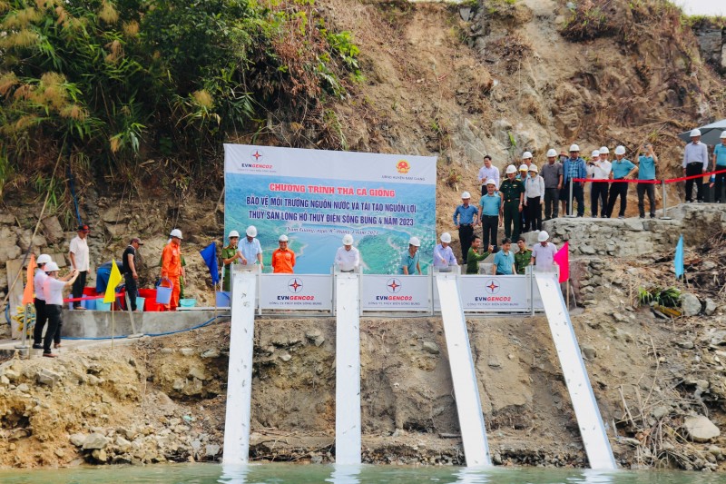 Các đại biểu và CBCNV Công ty thực hiện thả cá giống xuống hồ TĐ Sông Bung 4 Các đại biểu và CBCNV Công ty thực hiện thả cá giống xuống hồ TĐ Sông Bung 4