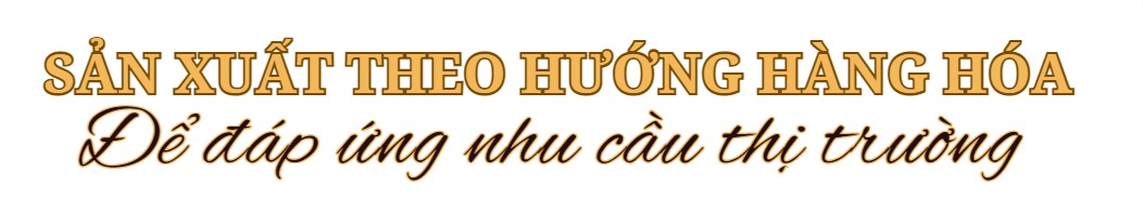 Longform | Thừa Thiên Huế: Mây tre đan Bao La “xuất ngoại” Longform | Thừa Thiên Huế: Mây tre đan Bao La “xuất ngoại”