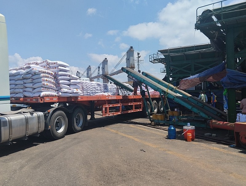 Trên 400.000 tấn sản phẩm phân bón Cà Mau phục vụ bà con vụ Hè Thu Trên 400.000 tấn sản phẩm phân bón Cà Mau phục vụ bà con vụ Hè Thu