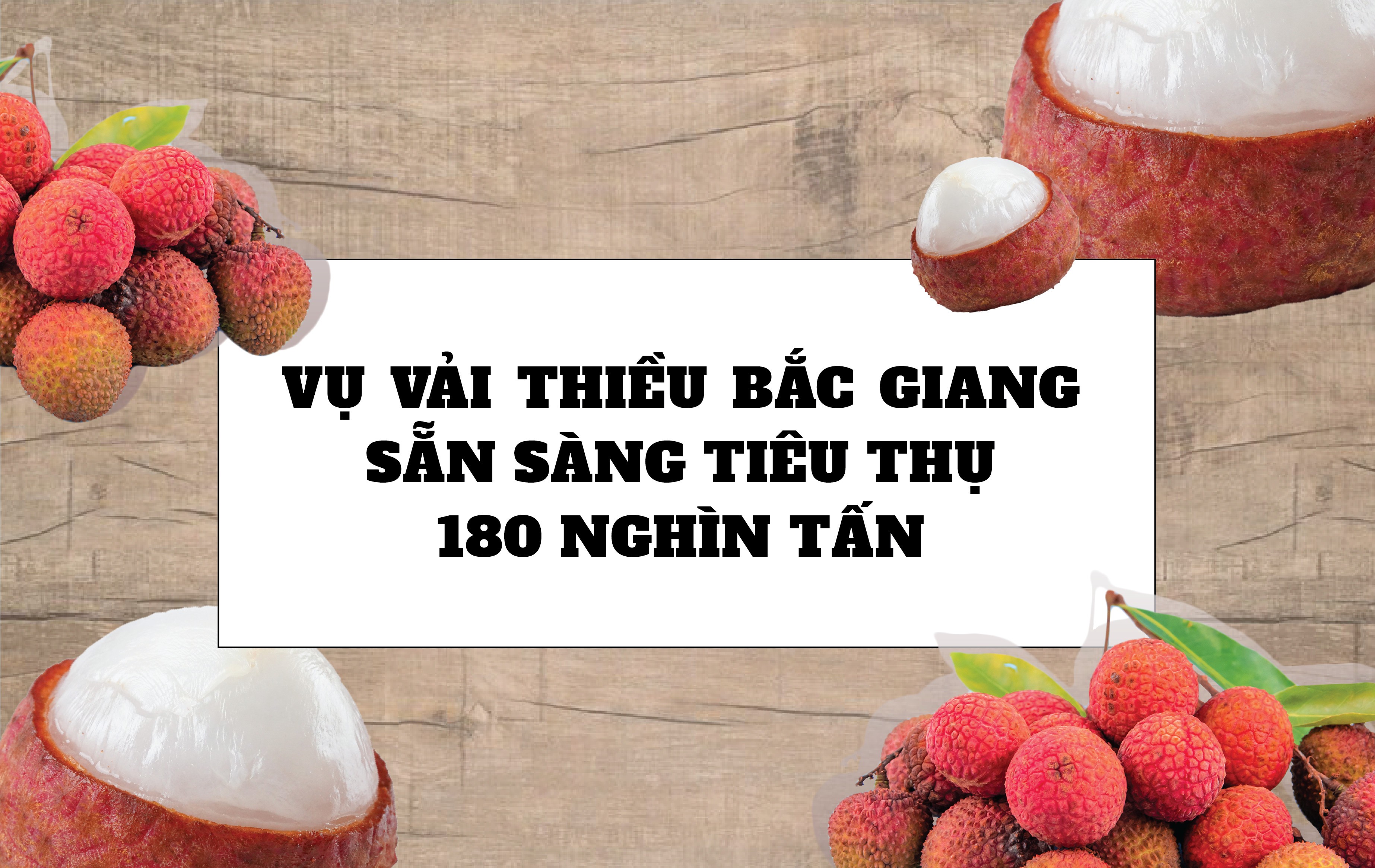 Longform | Vụ vải thiều Bắc Giang năm 2023: Sẵn sàng tiêu thụ 180 nghìn tấn Longform | Vụ vải thiều Bắc Giang năm 2023: Sẵn sàng tiêu thụ 180 nghìn tấn