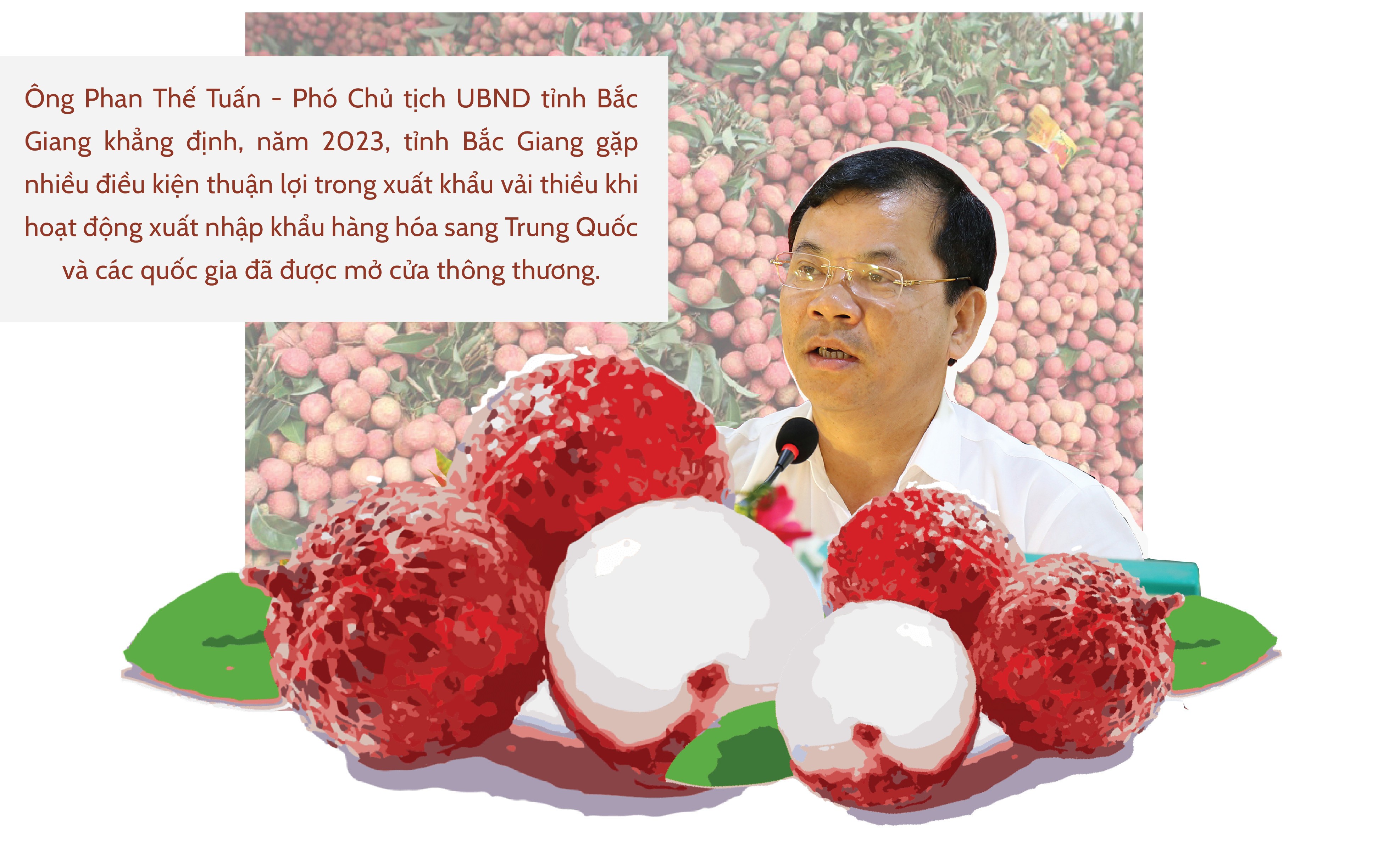 Longform | Vụ vải thiều Bắc Giang năm 2023: Sẵn sàng tiêu thụ 180 nghìn tấn Longform | Vụ vải thiều Bắc Giang năm 2023: Sẵn sàng tiêu thụ 180 nghìn tấn