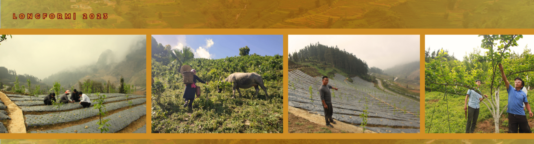 Longform | Phụ nữ Tày miền Bắc Hà- Lào Cai: Giữ nghề xưa và phát triển kinh tế từ vành nón lá cọ Longform | Phụ nữ Tày miền Bắc Hà- Lào Cai: Giữ nghề xưa và phát triển kinh tế từ vành nón lá cọ