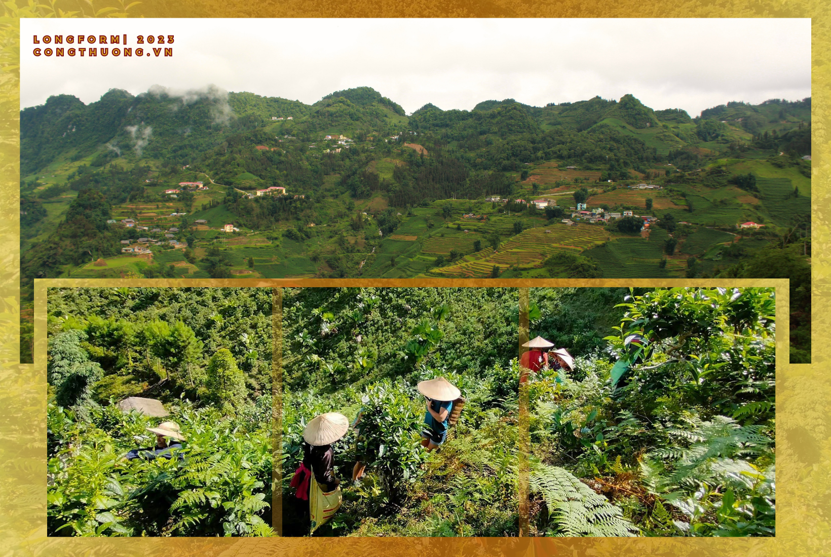 Longform | Phụ nữ Tày miền Bắc Hà- Lào Cai: Giữ nghề xưa và phát triển kinh tế từ vành nón lá cọ Longform | Phụ nữ Tày miền Bắc Hà- Lào Cai: Giữ nghề xưa và phát triển kinh tế từ vành nón lá cọ
