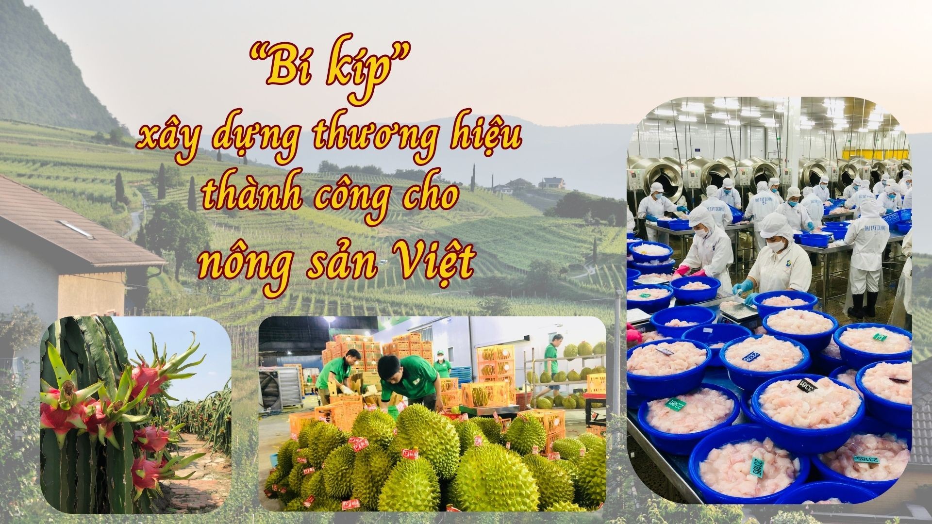 “Bí kíp” xây dựng thương hiệu thành công cho nông sản Việt “Bí kíp” xây dựng thương hiệu thành công cho nông sản Việt