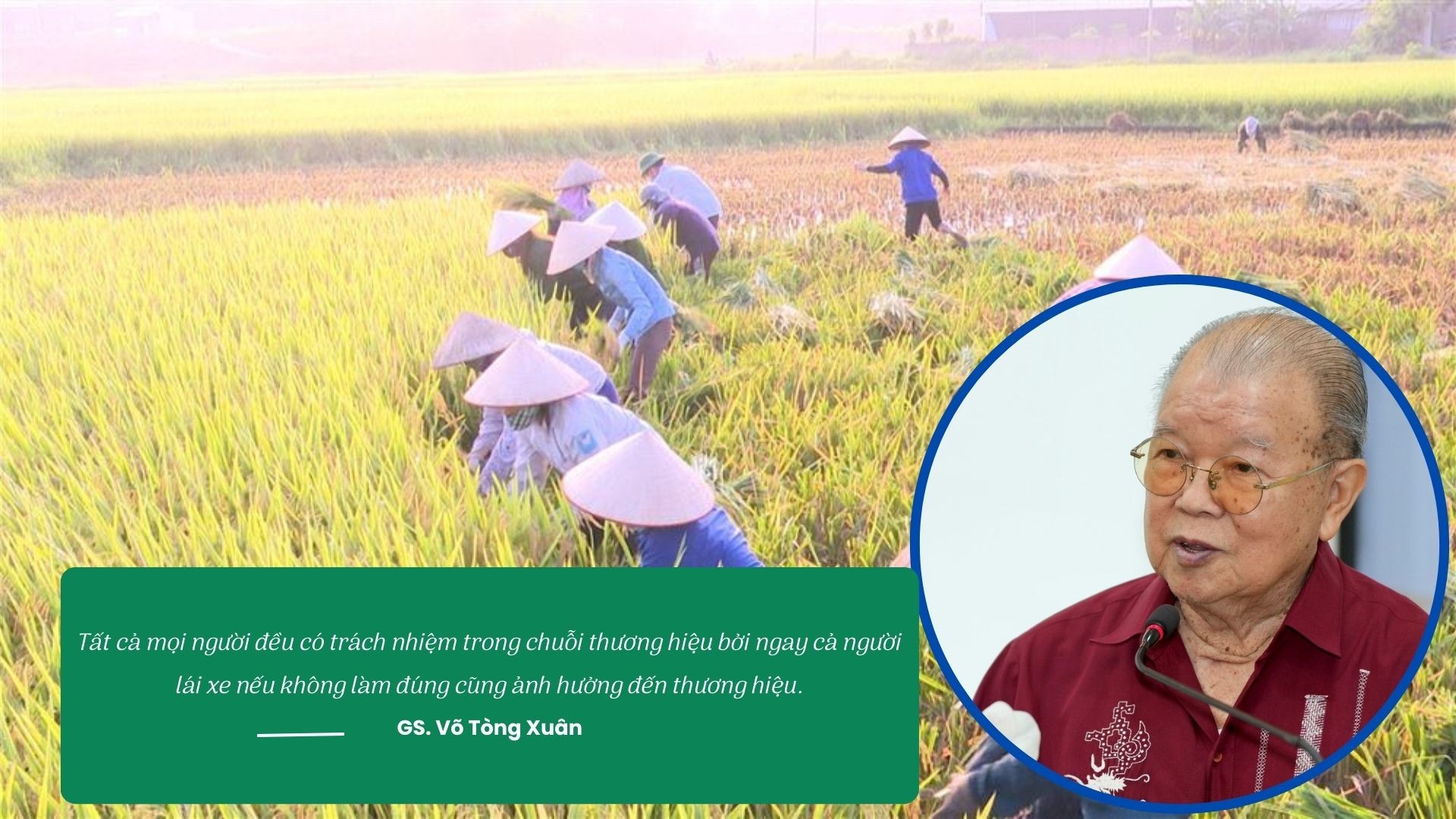 “Bí kíp” xây dựng thương hiệu thành công cho nông sản Việt “Bí kíp” xây dựng thương hiệu thành công cho nông sản Việt