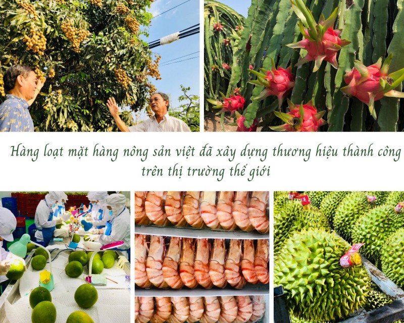 “Bí kíp” xây dựng thương hiệu thành công cho nông sản Việt “Bí kíp” xây dựng thương hiệu thành công cho nông sản Việt