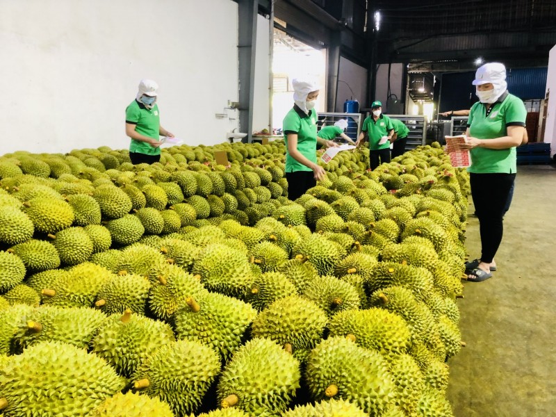 “Bí kíp” xây dựng thương hiệu thành công cho nông sản Việt “Bí kíp” xây dựng thương hiệu thành công cho nông sản Việt